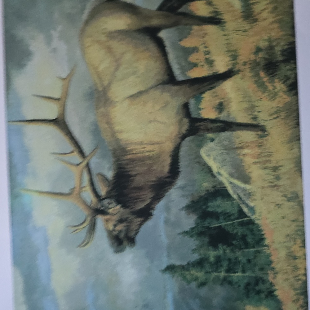 PAT ARTIST: McMANUS *SEPTEMPER* Majestic Elk Art Print